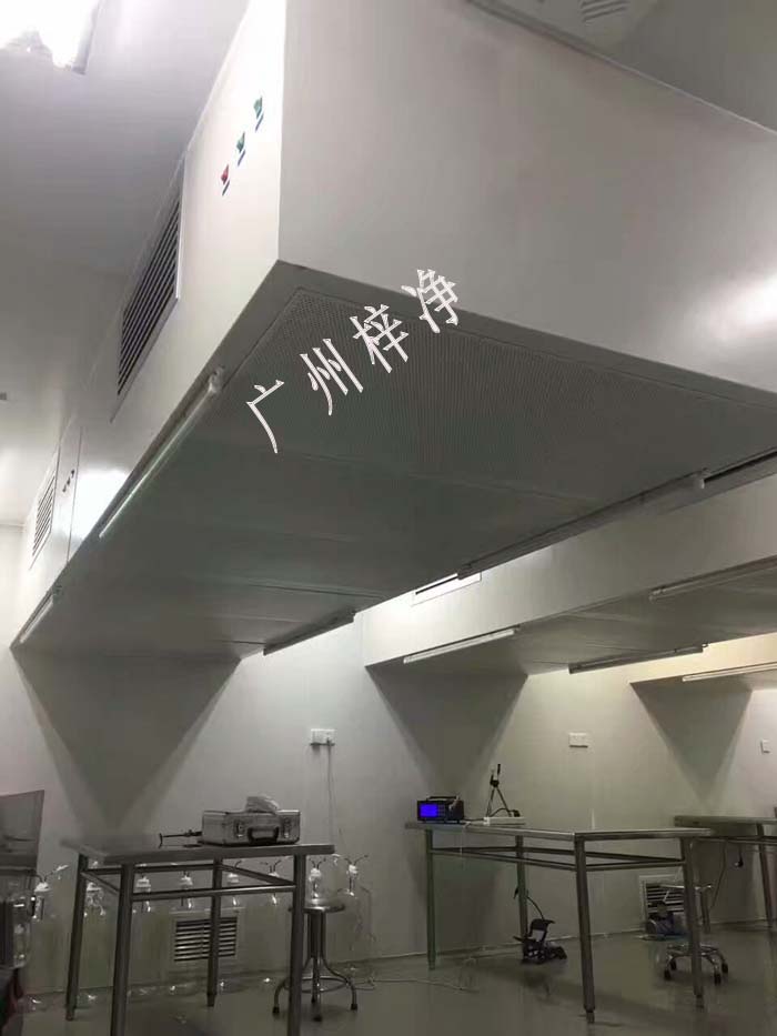 吊頂式層流罩現場安裝檢測 吊頂式層流罩現場安裝檢測